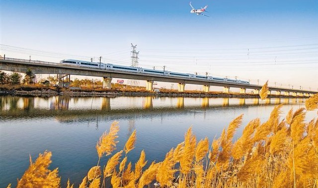 欧冠直播-银球飞舞 家乡嬗变|乒乓球|廊坊日报|校园|球拍|全运会_新浪体育_新浪新闻